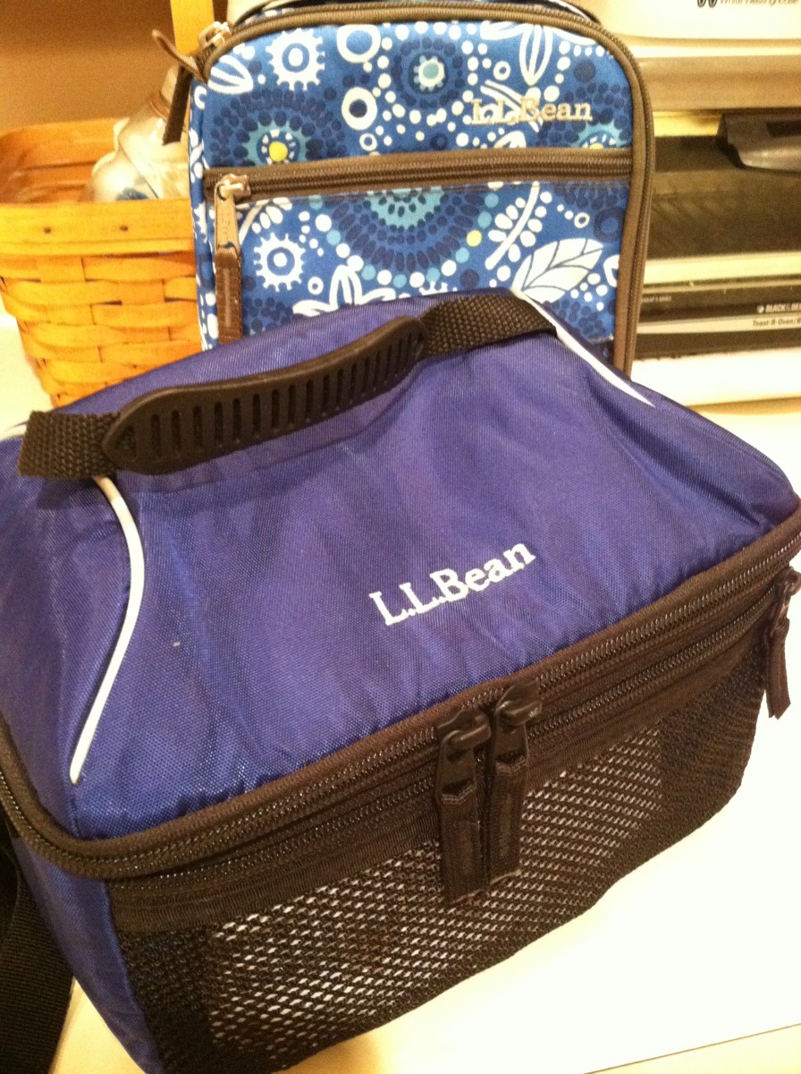 A lunch box or lunch bag should be flexible to allow room for several food items.  Large zippers and netted compartments are an easy open for children.