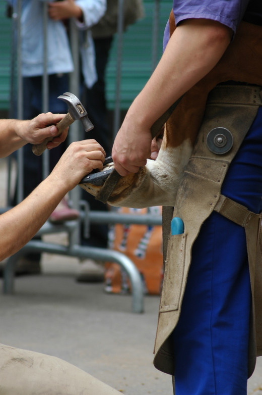 Hoof Care is extremely important.