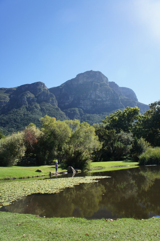 Table Mountain in the background