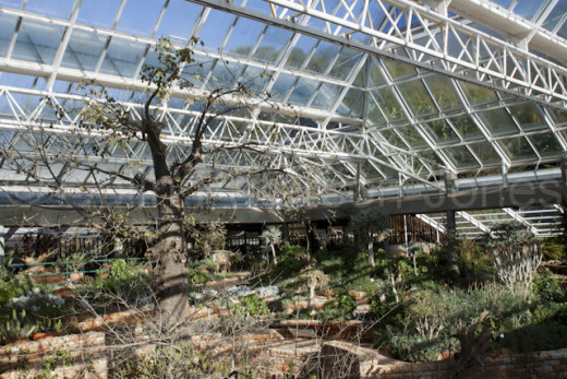 The conservatory