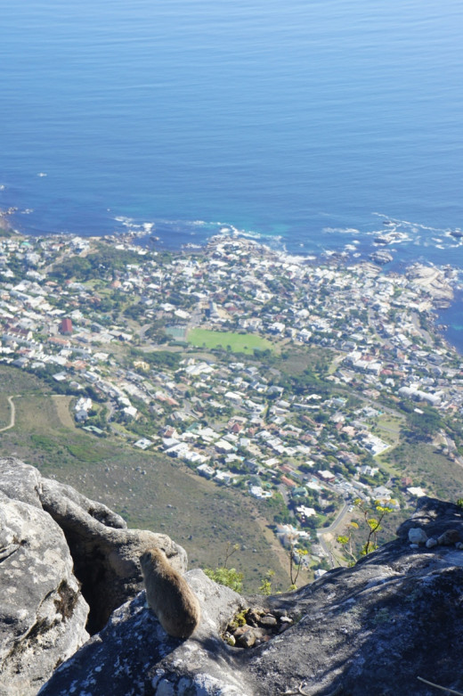 A Dashies eye view of Camps Bay