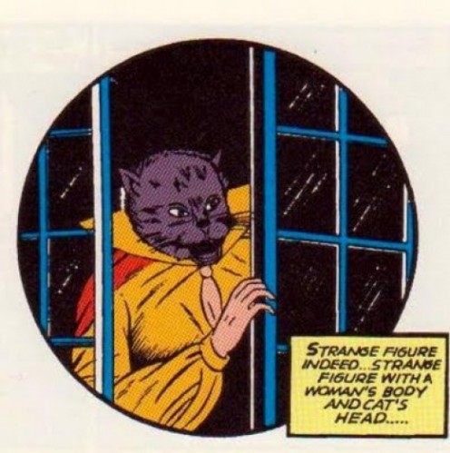 Catwoman Costume History Catwoman Costume History