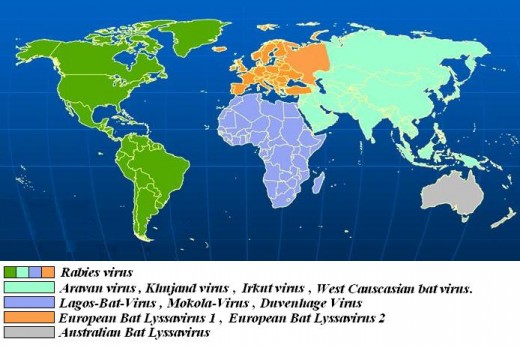 Rabies Worldwide Map