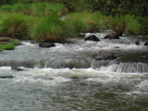 Beautiful river at Kodagu