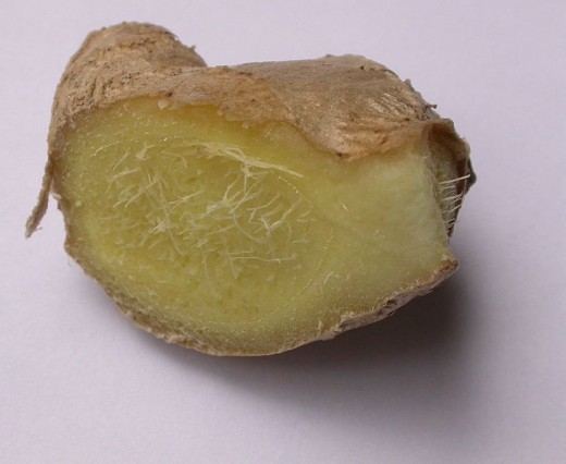 Cross section of ginger root