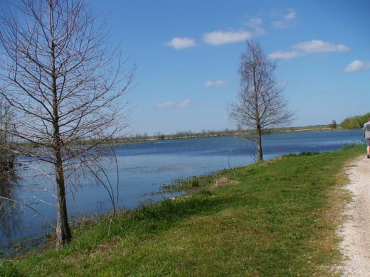 The sky appears darker blue when looking straight up and lighter blue when looking out over the horizon.