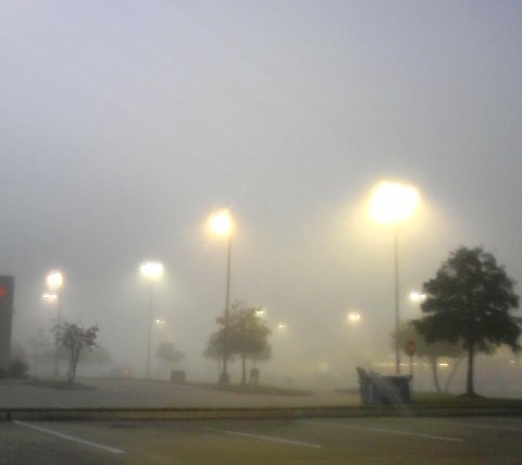 Fog scatters the yellow light of these parking lot lamps in much the same way as the atmosphere scatters the blue light from the Sun's rays.