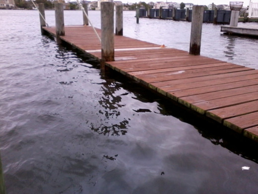 IN THIS PHOTO THE WATER LEVEL WAS ALREADY COMING UP A DAY BEFORE THE SUPER STORM HIT. RIGHT THEN I KNEW IT WAS GONG TO BE BIG TROUBLE.