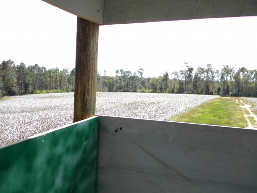 How To Build A Free-Standing Deer Hunting Blind in The Best Location