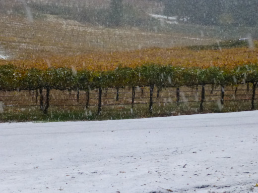 Looks like snow