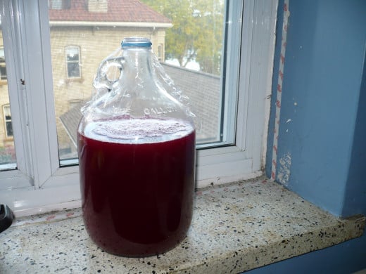 Then it will go a deeper red and clear because the fibers in the juice will settle to the bottom of the jug.