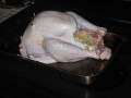 Cranberry Sauce and Turkey - Favorite Foods for Thanksgiving Dinner