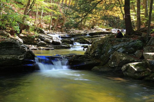Nature is a beautiful way to relax and distract you from pain.