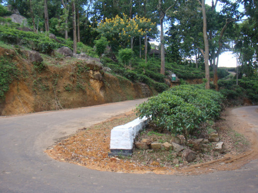 1st 'U pin bend in Rakwana, Sri Lanka