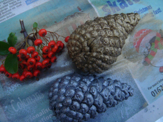 Pine cones and berries