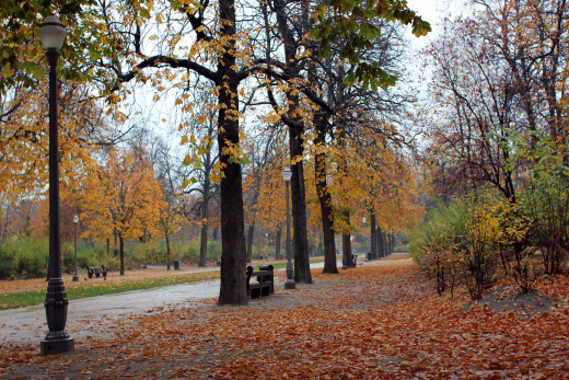 Parc de Bruxelles (Brussels)