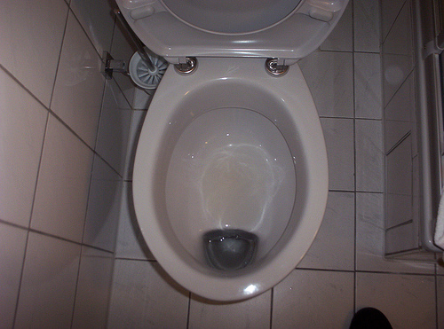 The toilet bowl.