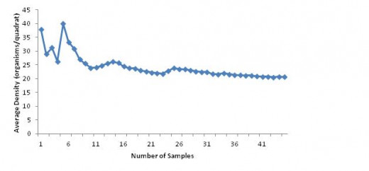 Figure 1. Average density of L. littorea as sample size increases