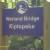 A bridge overlooking the wetlands