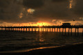 Venice Florida's Shark's Tooth Festival, Other Attractions, and Retirement Opportunities