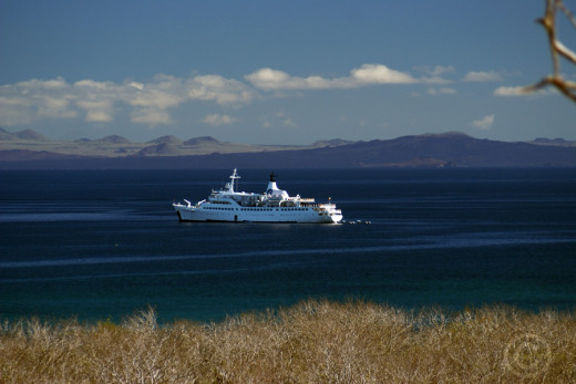 The Galapagos Legend at anchor off Santa Cruz Island, Galapagos