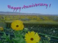  Wedding Anniversary Gifts Ideas HubPages