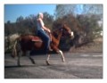 How to do a Posting Trot on a Horse