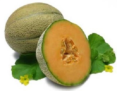 Beautiful cantalope!  Mine were not this pretty