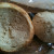 Bread Bowl Bread Bowl