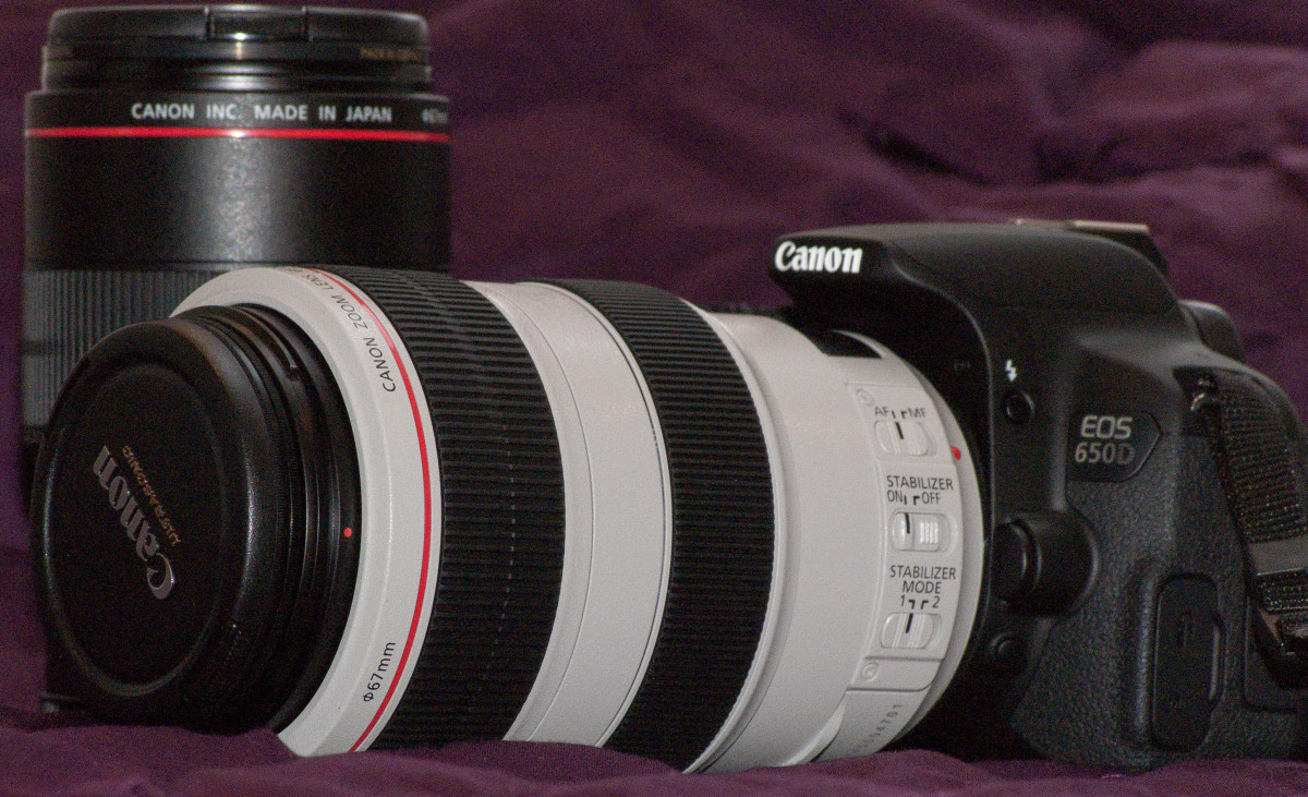En ok kullandm iki objektifle Canon 650D genellikle - 100 mm'lik bir makro ve 70-300 telefoto zoom.