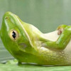 Montina64 profile image