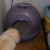 Three share one domed potty box.  Axel was curious about my picture taking.  He never did pee!