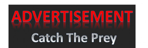 Beware of Advertisements!!!