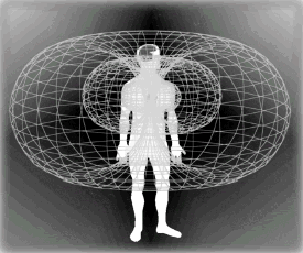 The Heart's Electromagnetic Field