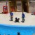 The Clyde and Seamore show is hilarious and features sea lions (and an otter). The Clyde and Seamore show is hilarious and features sea lions (and an otter).