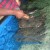 Petting the Sting Rays Petting the Sting Rays