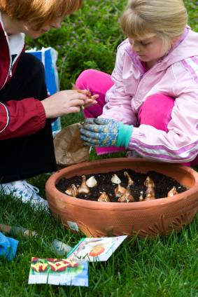 Children don't have the patience for shrubs and trees, but many love to plant bulbs and the seeds of annual plants. 