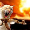 andrewli666666 profile image