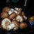 Baby Bella Mushrooms have more nutritional value than the other type of mushrooms. Baby Bella Mushrooms have more nutritional value than the other type of mushrooms.