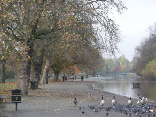 The Central Lake, Regents Park London
