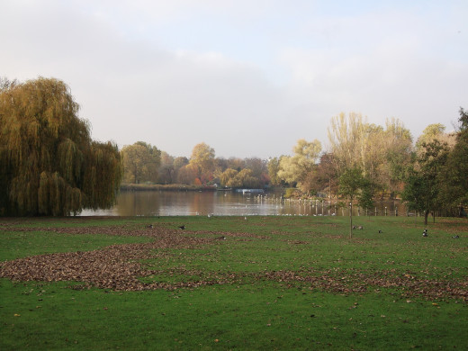 The Central Lake, Regents Park, London