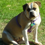 delcey_lunt profile image