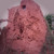 An partially dug out ant hill. An partially dug out ant hill.
