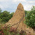 An ant Hill, the color of the hill depends on the colour of the soil. An ant Hill, the color of the hill depends on the colour of the soil.