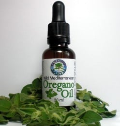 Benefits of Oil of Oregano