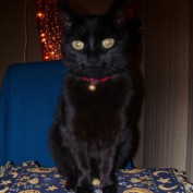 Deb888 profile image