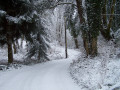 I'm Dreaming of a White Christmas