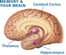 6 practical ways to enhance memory power