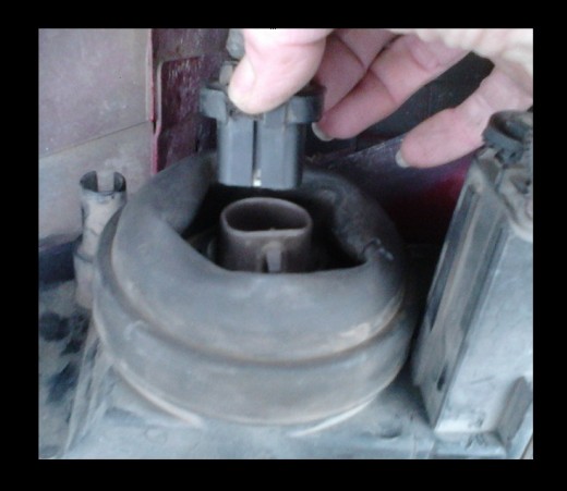 Remove plug from the back of the headlamp.