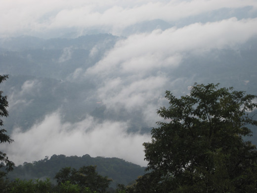 First look into the clouds after the initial forest cover